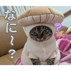 iku_20260406152511