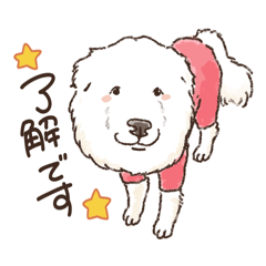 lovebeagle_20260406153132