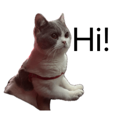 鞥一個問題問問題