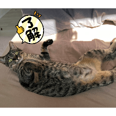 iku_20260406194025