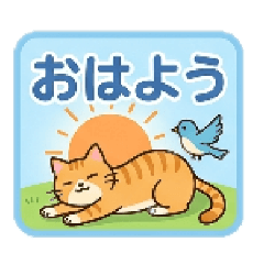 takai_20260406153138