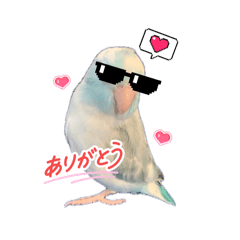 melon_20260406154137