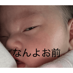 momotohihi_20260406154902