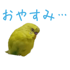 Cat Workshop_20260406155341