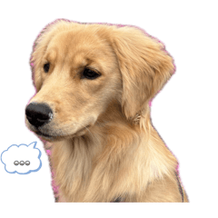 oniku_20260406155429