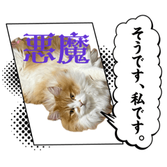 Nyozeka_20260406154847