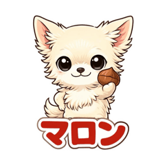 maron_20260406170753