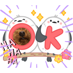 Nanakong_20260406180430