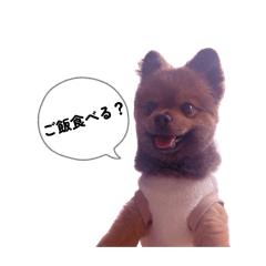 zoomen_20260406180640