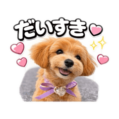 tyoitomoko_20260406181304