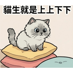 被動的喵生