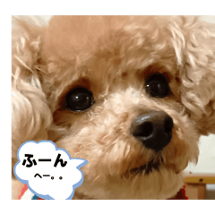 Tomoon_20260405201443