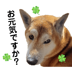 tamin_20260405201442greeting