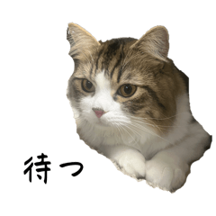 rinya_20260405225902