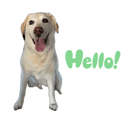 noooon_20260405225949