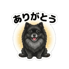 torakichi_20260406182216