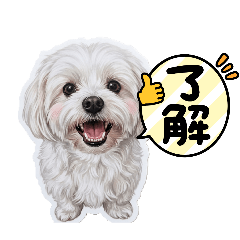 mococo_20260406182804