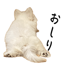 Chikuwa_20260406183110