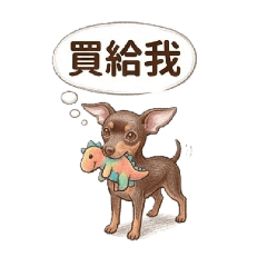 迷你杜賓-球球 第三彈