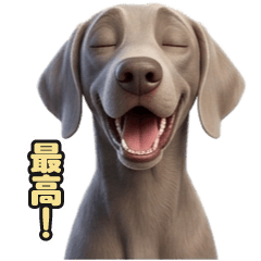 Weimaraner LINE stickers 138