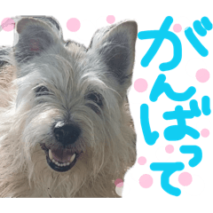 runco_20260406002137