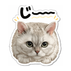 Aochan's_20260406152155