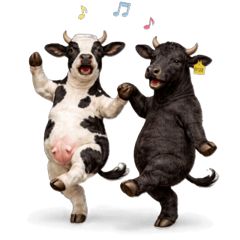 Funny Realistic Cow Stickers(kuronosuke)