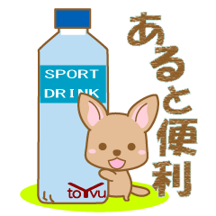 WANKOBIYORI(Miniature Pinscher)1