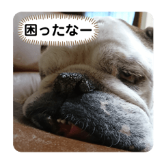 HIROMASA_20260406192831