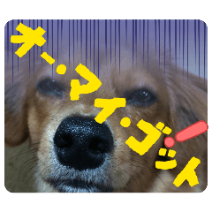 tana-p_20260406194704