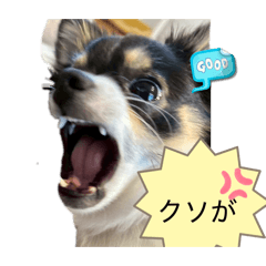 Otabe_20260405202829