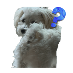 Kazuki_20260405203654