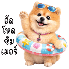 Steve is a troublemaker dog : Summer