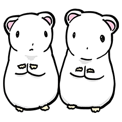 Stoat that looks like a chinchilla (1)