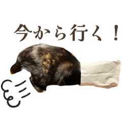 Mimatsu_20260406210014