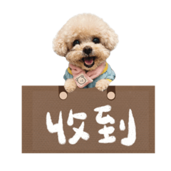 肉鬆不想上班