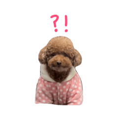 我是可愛的小樂 小可樂2