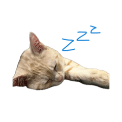 Grace_20260406235934