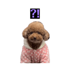 我是可愛的小可樂