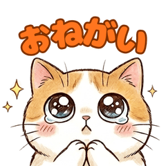 Squishy Munyu Cat: Super Cute Daily