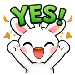 Cute Bunny Daily Reactions