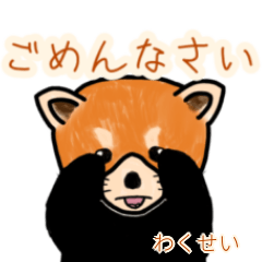 Wakusei's lesser panda