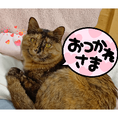 kahomiyu_20260407112431