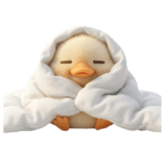 duck of ahisan ver programer