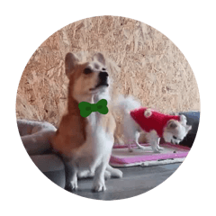 hayashida_20260406024342