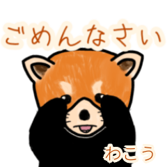 Wakou's lesser panda