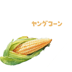 takoyaki_20260406031109