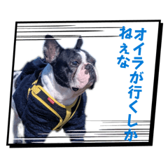 Sakura_20260406085609