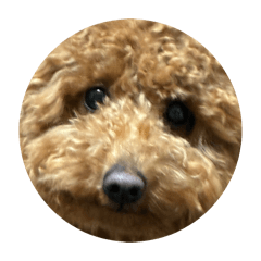 Ootamako_20260406223926