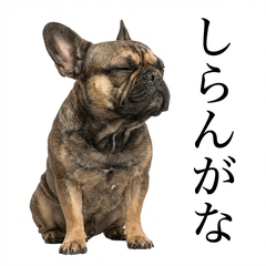 French Bulldog Honne - Daily & Funny
